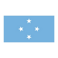 Flag of Micronesia Temporary Tattoo (1.5"x2")